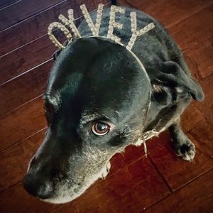 Meet your Posher, Sharyn